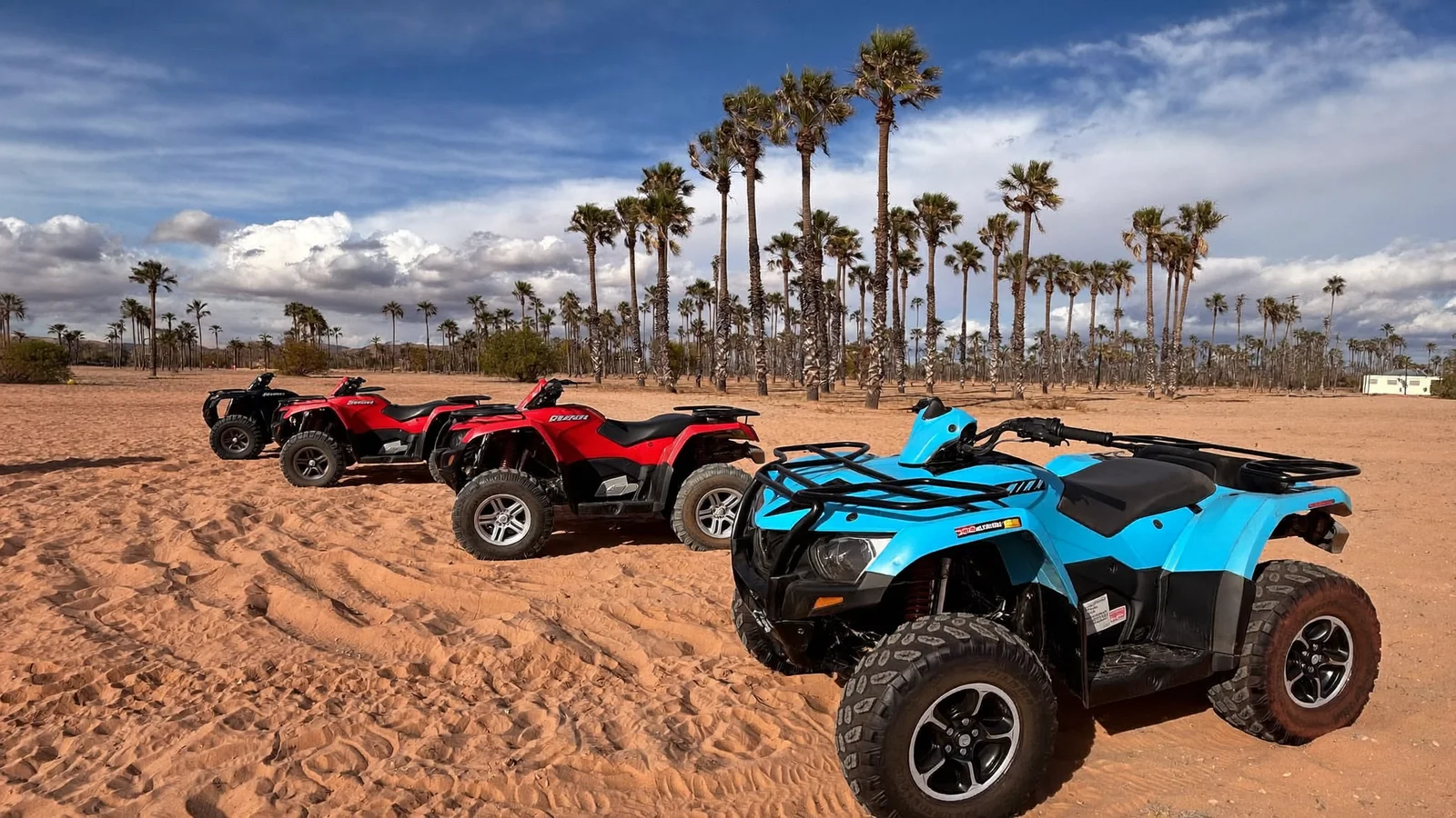 Quad dans la Palmeraie de Marrakech – Aventure tout-terrain