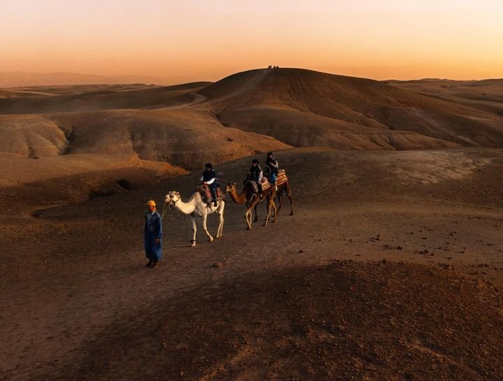 Camel caravan crossing the Agafay desert at sunset