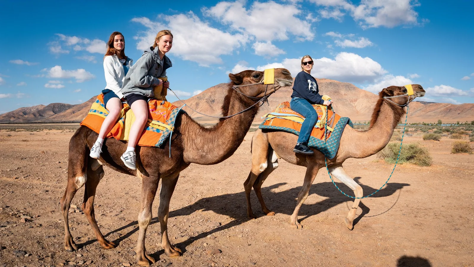 Three women laughing on two camels with colourful saddles, quad and camel ride in the Agafay desert