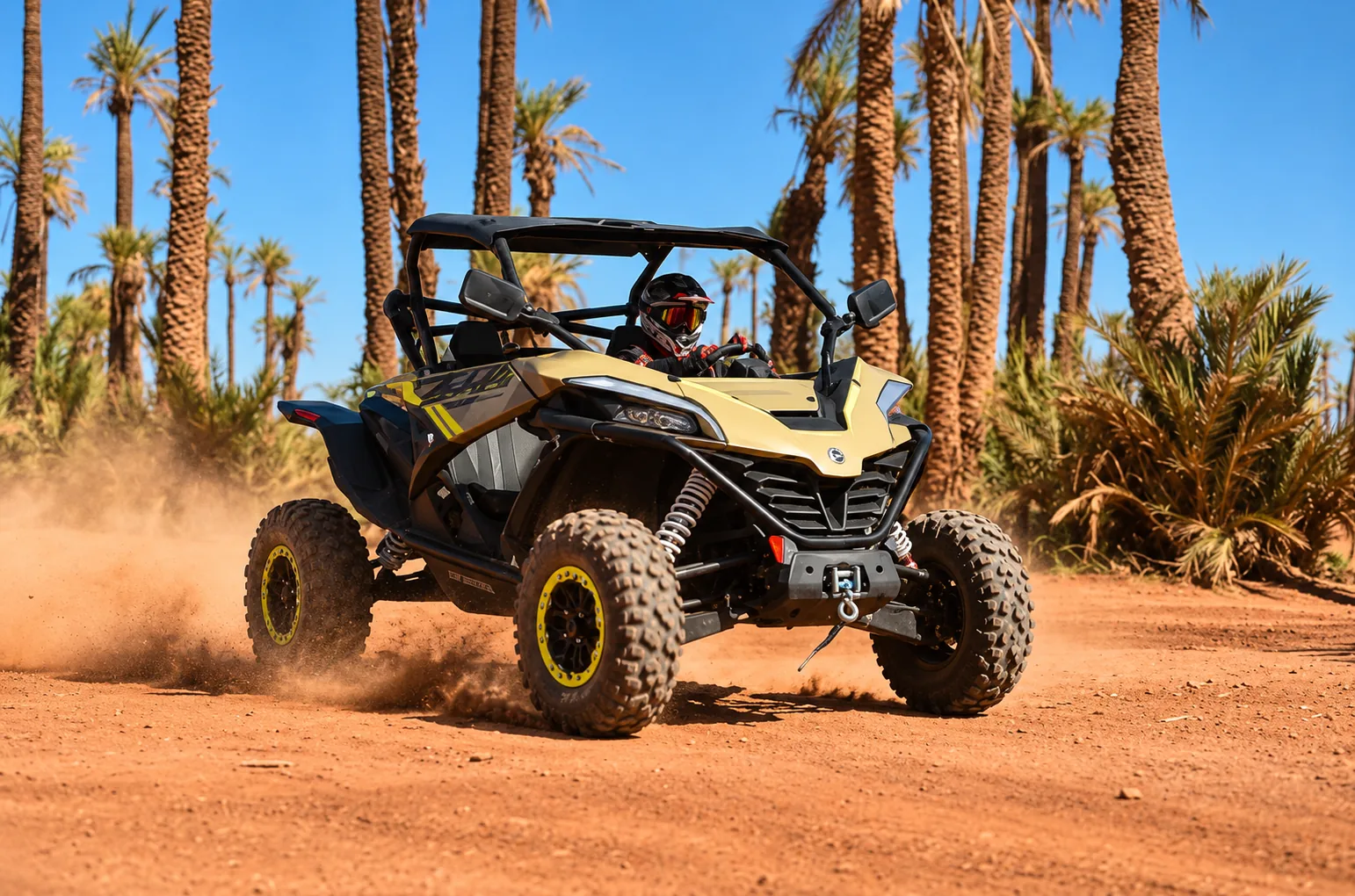 Buggy Ride in the Marrakech Palm Grove