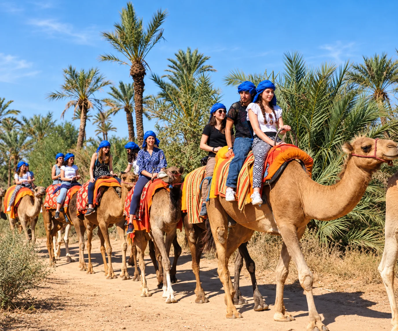 Besucher mit blauen Turbanen auf einer Kamelreihe unter dichten Palmen, Kamelritt in der Palmeraie von Marrakech