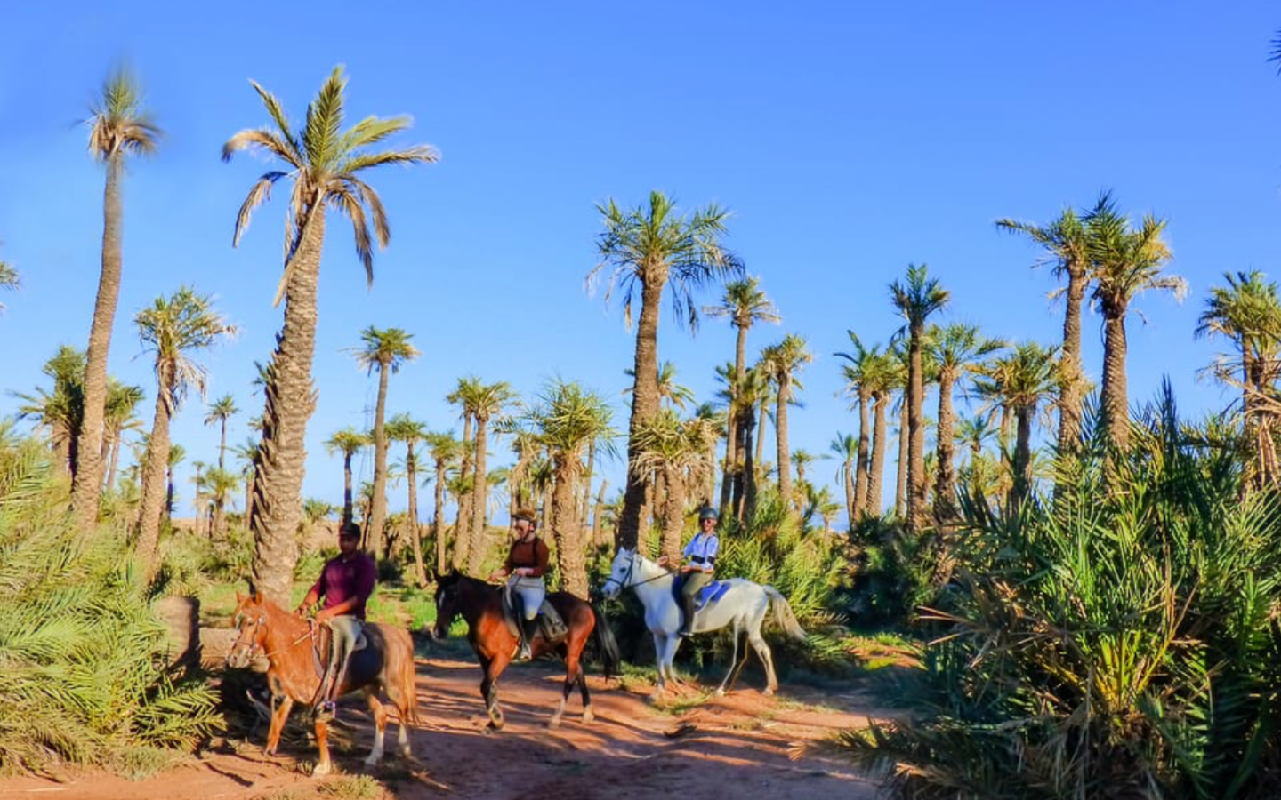 Horseback Riding in the Marrakech Palm Grove