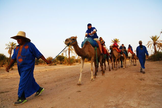 Agafay Desert