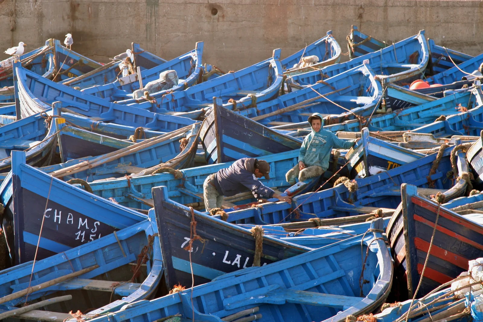 Essaouira Day Trip