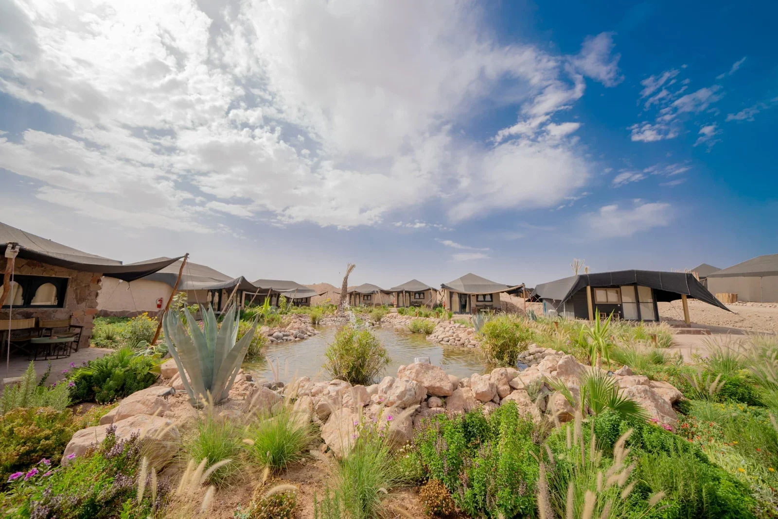Jardín desértico de agaves y hierbas que lleva a las jaimas negras de Le Bedouin, pase de día con piscina en Agafay