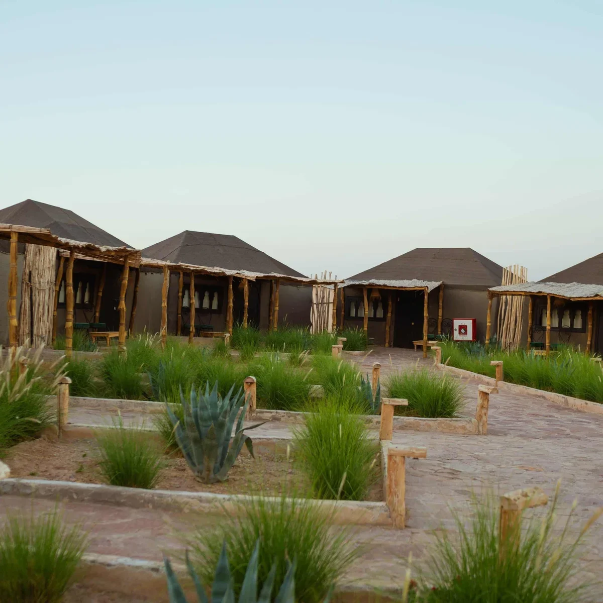 Fila de jaimas de techo negro tras un jardín en el campamento Le Bedouin, pase de día con piscina en el desierto de Agafay
